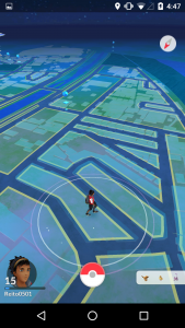 ポケモンGO in 自宅